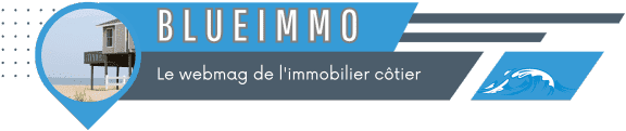 Blue Immo