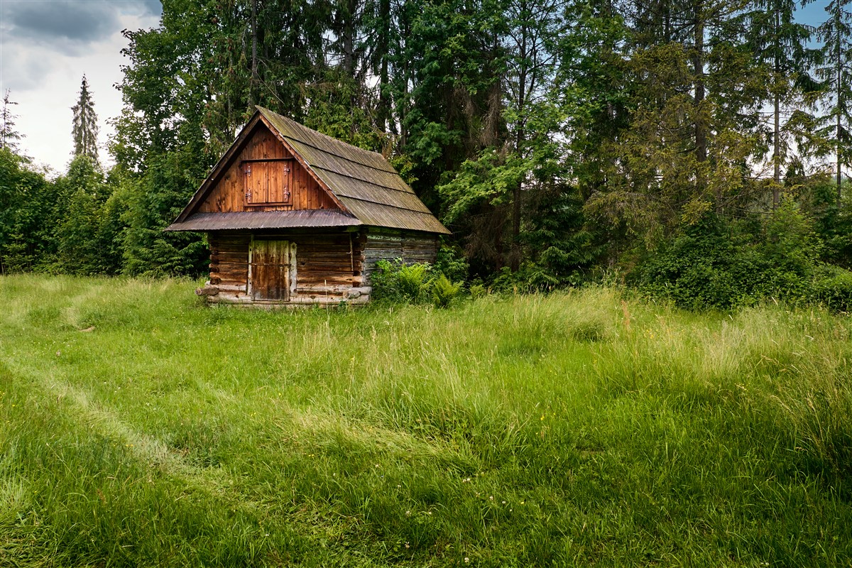 Chalet en rondins